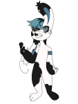 Broken image link