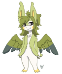 Broken image link