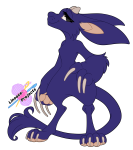 Broken image link