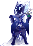 Broken image link