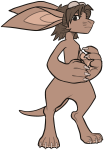 Broken image link