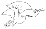 Broken image link