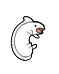 Broken image link