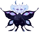 Broken image link