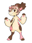Broken image link