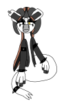 Broken image link