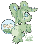 Broken image link