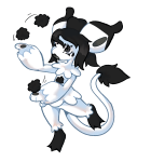 Broken image link