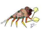 Broken image link