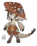 Broken image link