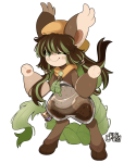 Broken image link