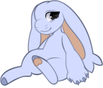 Broken image link