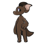 Broken image link