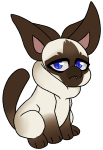 Broken image link