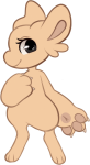 Broken image link