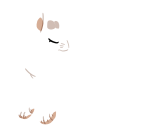 Broken image link
