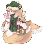 Broken image link