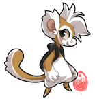 Broken image link