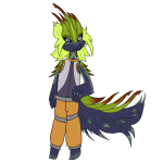 Broken image link