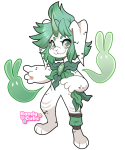 Broken image link