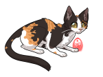 Broken image link