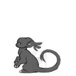 Broken image link