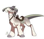 Broken image link