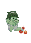 Broken image link
