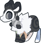 Broken image link