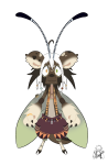 Broken image link