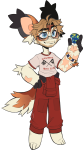 Broken image link