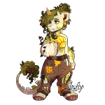 Broken image link