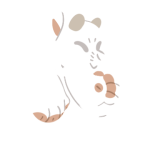Broken image link