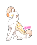 Broken image link