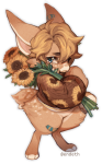 Broken image link