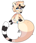 Broken image link