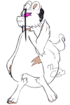Broken image link
