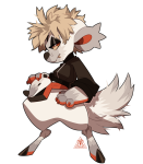 Broken image link