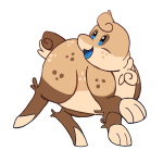 Broken image link