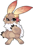 Broken image link