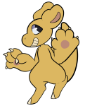 Broken image link