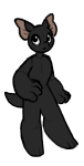Broken image link