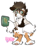 Broken image link