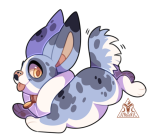 Broken image link