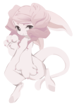 Broken image link