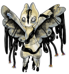 Broken image link