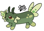 Broken image link