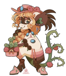 Broken image link