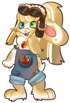 Broken image link