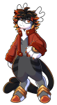 Broken image link